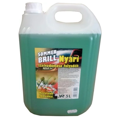 SZÉLVÉDŐMOSÓ NYÁRI 5L