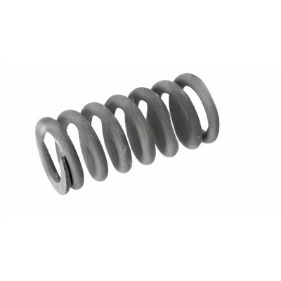 Nyomórugó utasajtó működtetés BODE