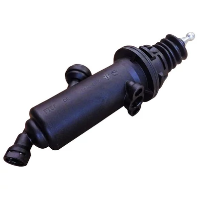 81307156152, MKG23852.1.1